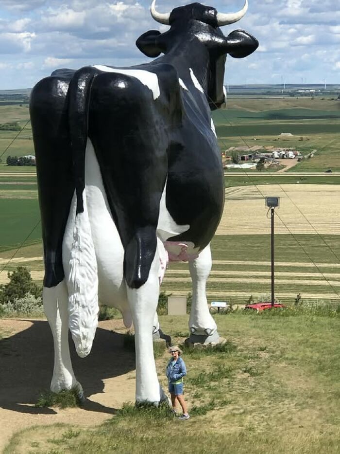 Salem Sue: Big Cow, Bigger Personality (New Salem, North Dakota)