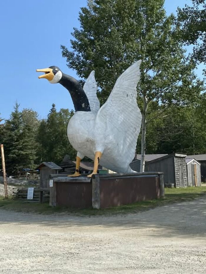 Wait, People Actually Made These Giant Roadside Weirdos?!