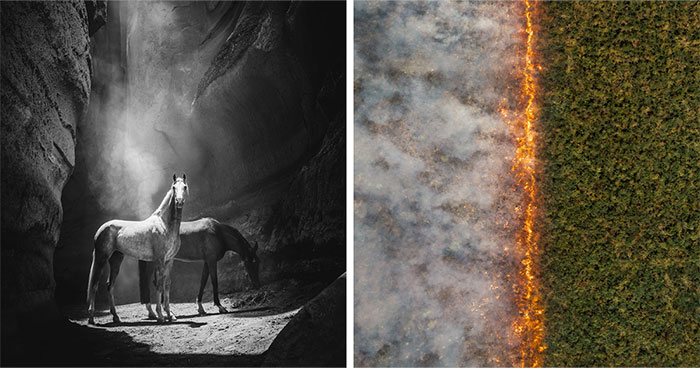 Whoa, Check Out These Mind-Blowing Photos From The 2025 Intl. Photography Awards!