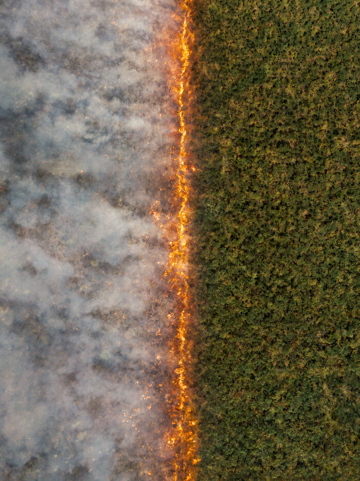 "50/50" — Balanced Beauty From Above