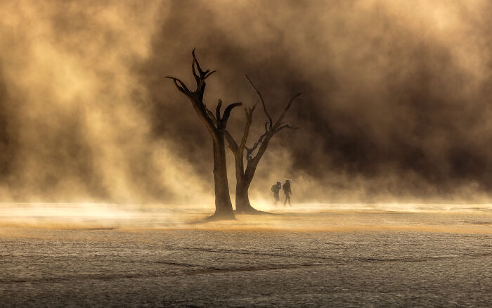 "The Soul Of Namibia" — Desert Dunes & Ghost Trees