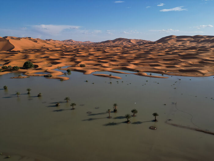 "Sahara Flooding" — Desert Surprise