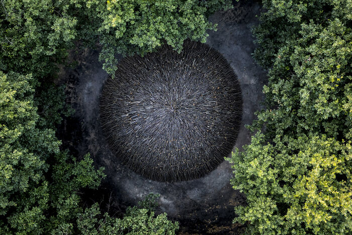 "A Tradition Burning Out" — Turkish Charcoal Makers