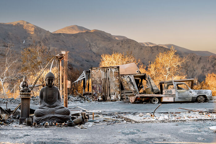 "Devastation And Resilience" — LA Wildfire Ruins