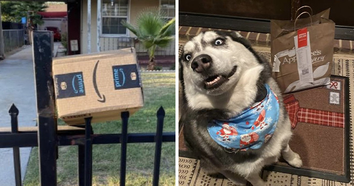 Wait, They Actually Took Pics of These Delivery Fails?!