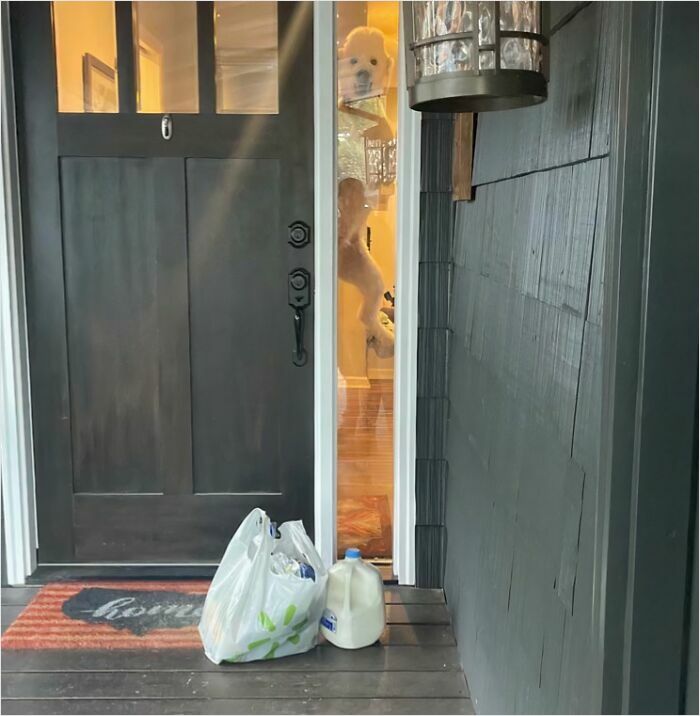 When Grocery Delivery Caught Some Unintentional Action