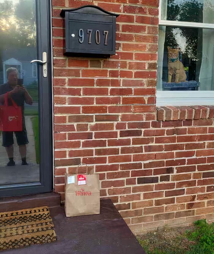 The Perfect Delivery Photo Exists and It’s This One