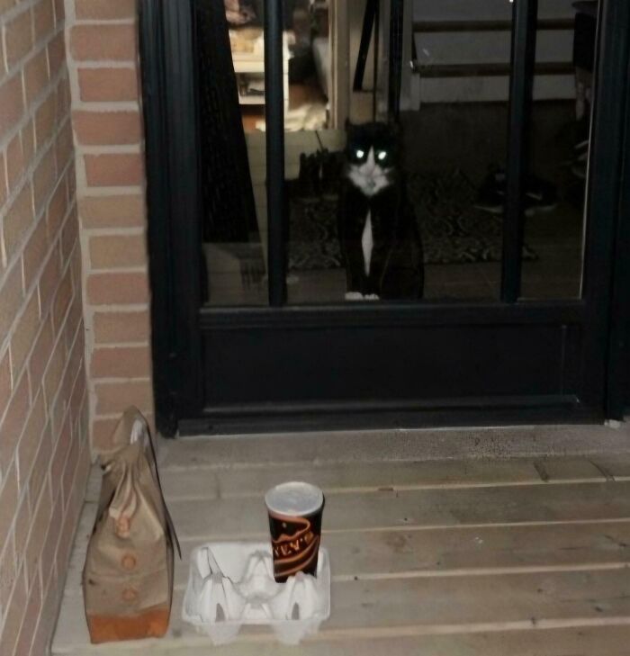 The Delivery Photo I Got Last Night