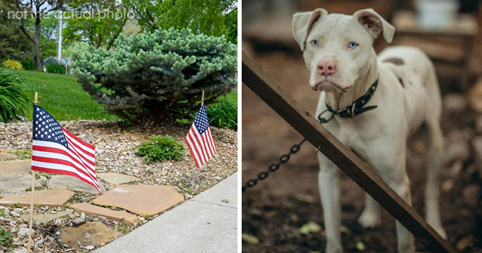 The Weirdest ‘Red Flags’ People Spot When Visiting Someone’s House