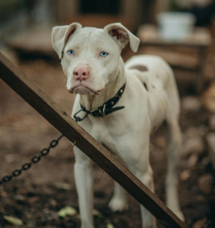 The Weirdest ‘Red Flags’ People Spot When Visiting Someone’s House
