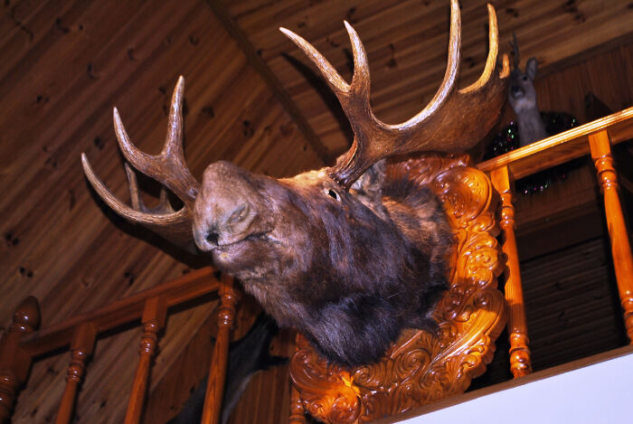 The Weirdest ‘Red Flags’ People Spot When Visiting Someone’s House