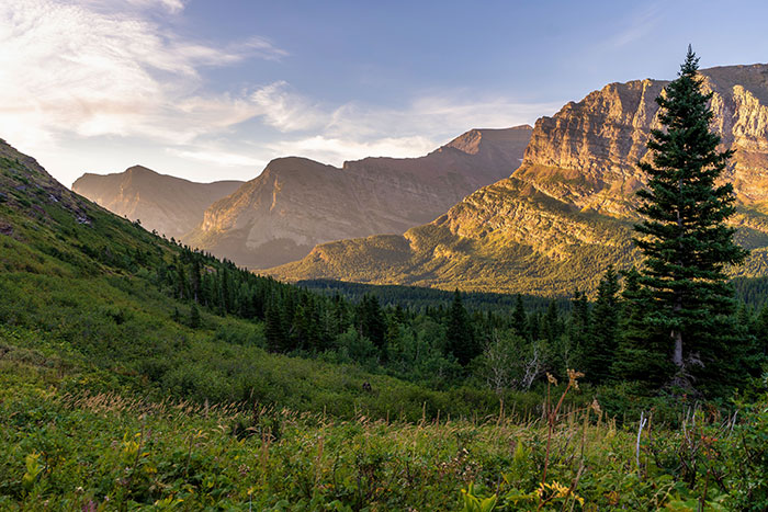 35 Crazy American Things Europeans Don’t Have That’ll Make You Go Huh?