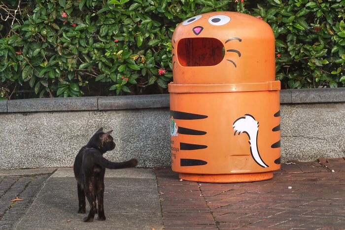 Waterfront Kuching, Sarawak, Malaysia - Chill Vibes Galore