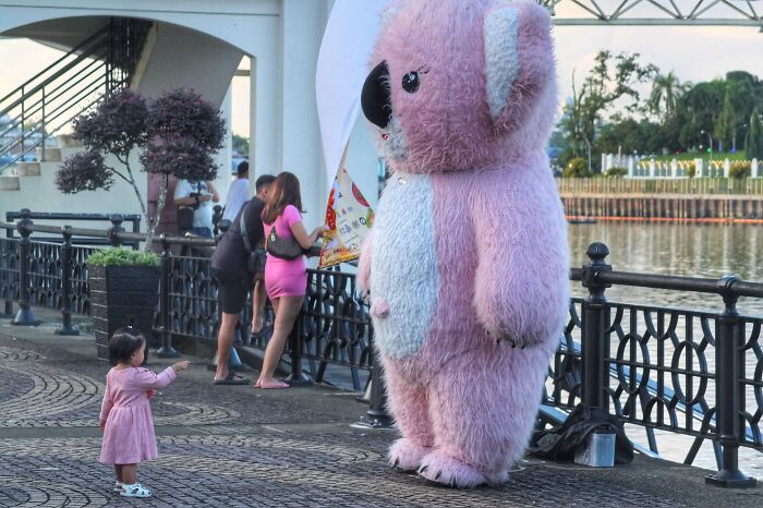 Waterfront Kuching, Sarawak, Malaysia - Unexpected Guests