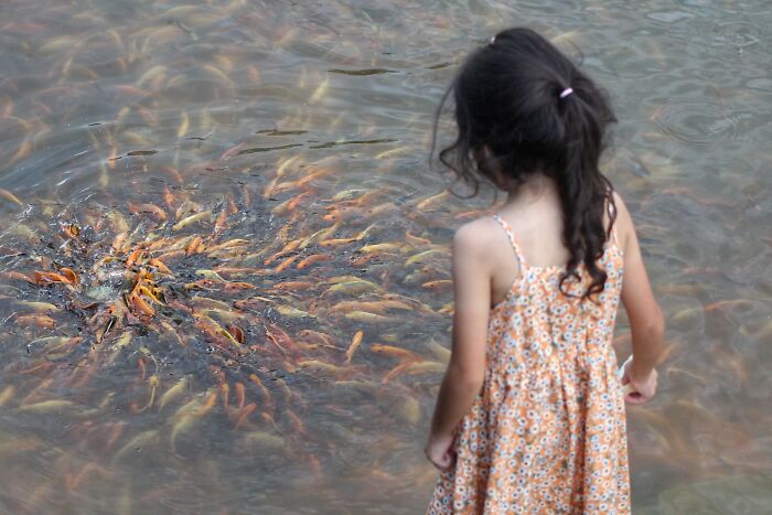 Peek These Hilarious Street Snaps That Totally Caught Life Off-Guard!