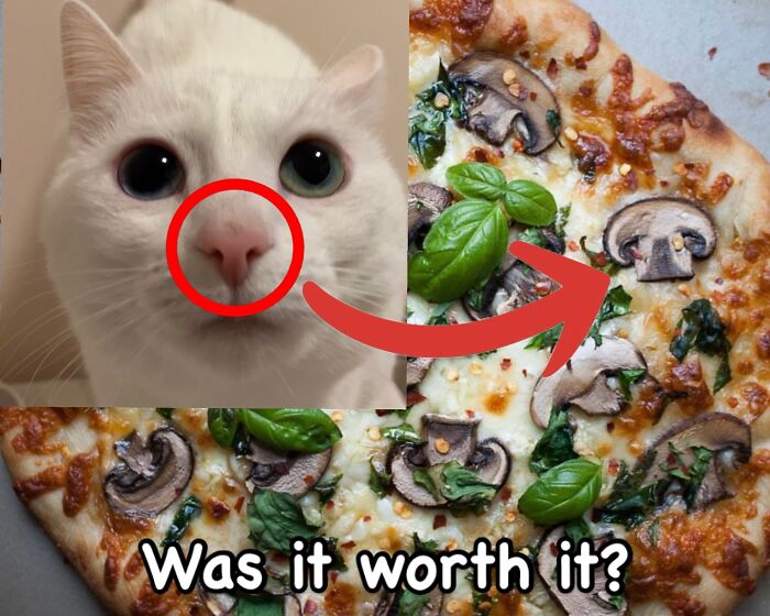 Get Ready to Smile: 45 Hilarious Memes From 'A Cat Named Snowflake'