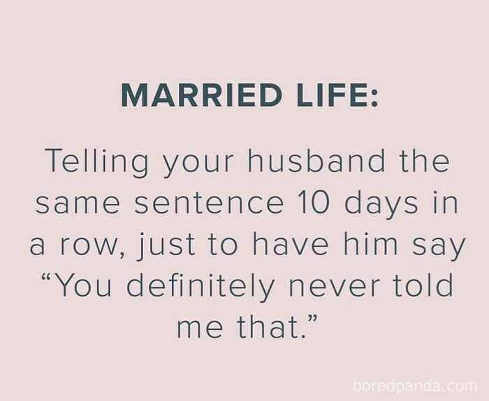 79 Hilarious Marriage Memes That Nail The Chaos And Cuteness