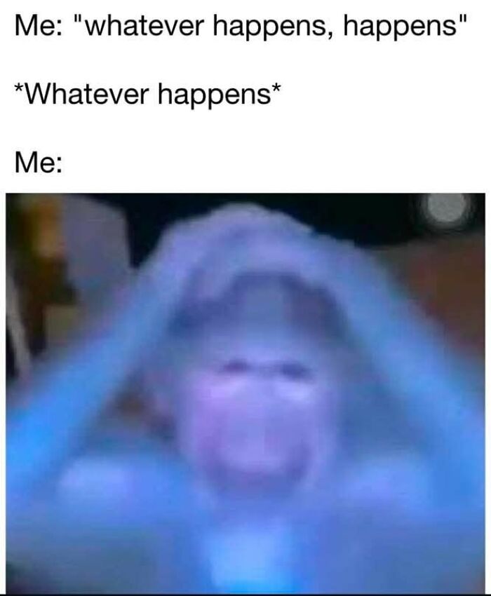 The Wildest, Weirdest Memes You Didn't Know You Needed Right Now