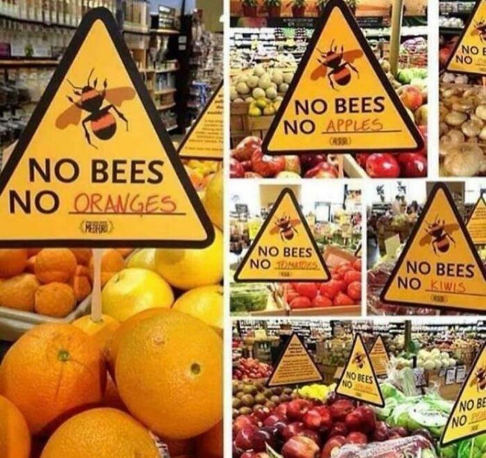 No Bees, No Oranges. Simple Math.