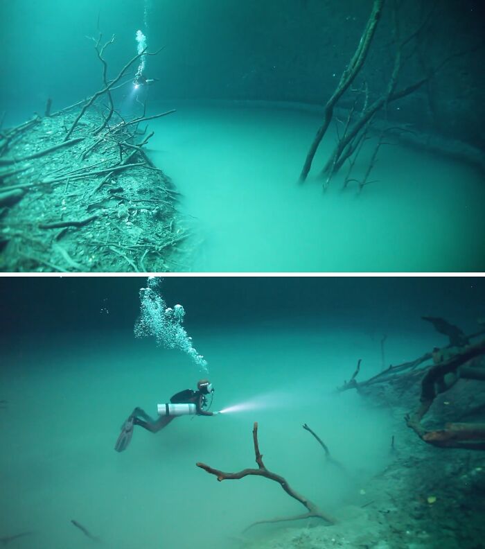 Meet Angelita: The Underwater River That’s Actually a Mind-Blower