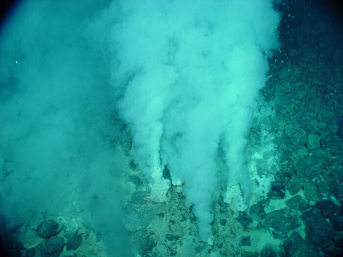 The Champagne Vent: Liquid CO2 Bubbles Under the Sea