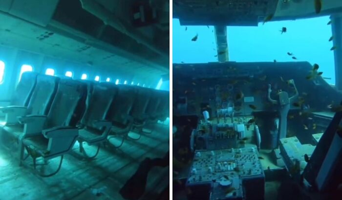 A Forgotten Airplane Lying on the Ocean Floor