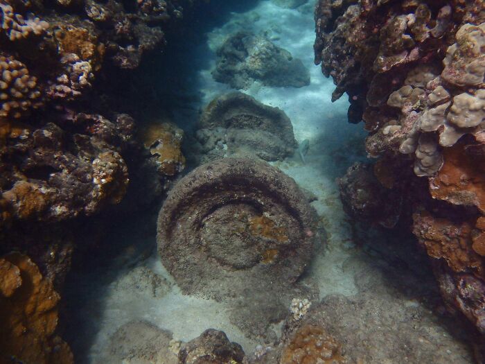 Found a Car Rear Axle Snorkeling In Maui—Yep, Really