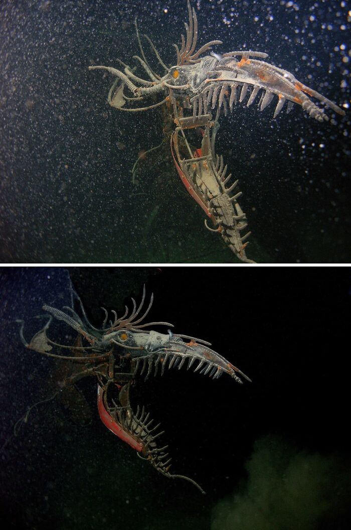 Dragon Sculpture Making Waves in Switzerland's Lake Neuchatel