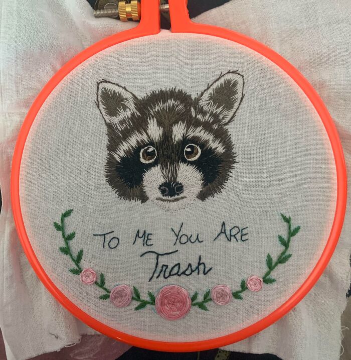 A Tiny Raccoon Surprise For A Friend Who Saves Wildlife