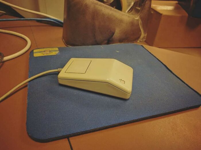 Coworker Demands An Apple Mouse, So We Gave Her This...