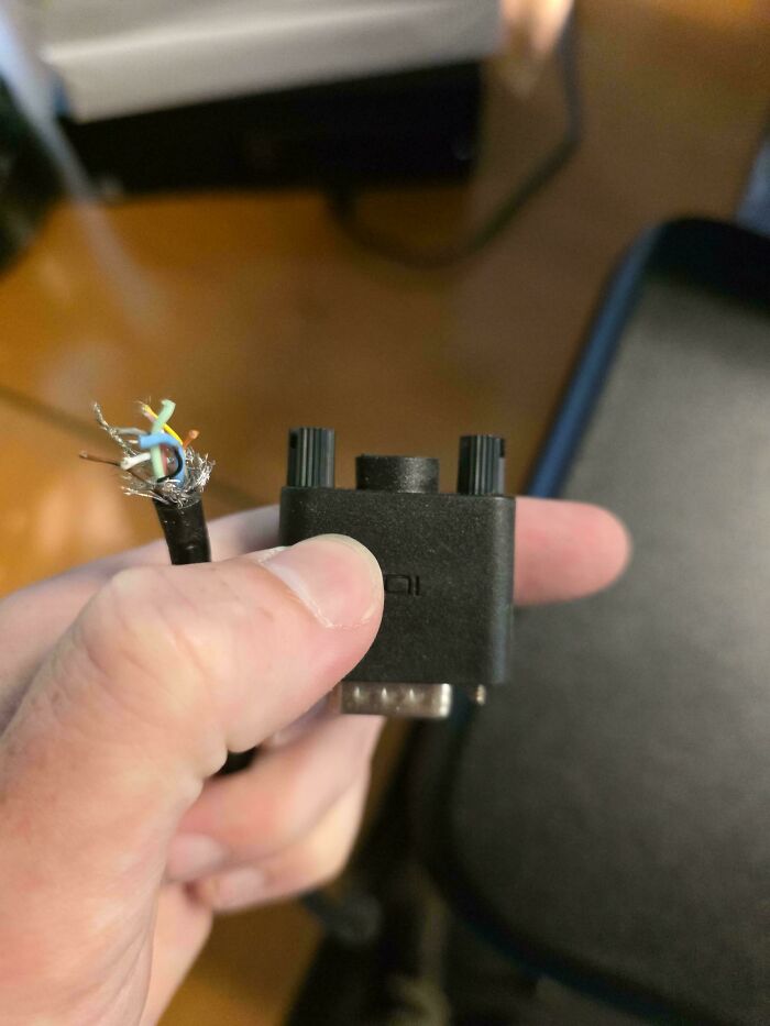 Never Seen This Before In 4 Years Of Tech Support. Gym Time, Maybe?