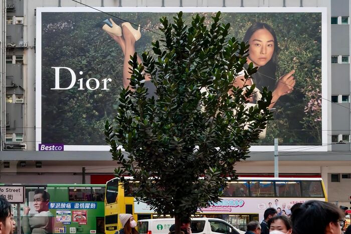 Wait, Street Photos Can Be This Weird?! 30 Wild Coincidences By Edas Wong