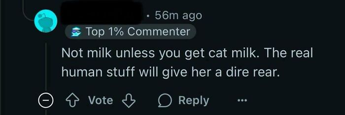 Oops, They Really Said That?! 54 Hilariously Dumb Posts That’ll Make You Cringe (In a Good Way)