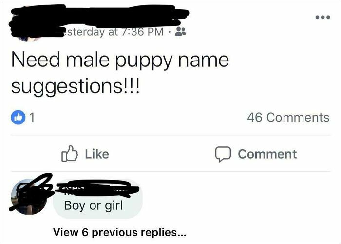 Oops, They Really Said That?! 54 Hilariously Dumb Posts That’ll Make You Cringe (In a Good Way)