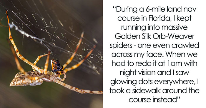 The 40 ‘I’m Done!’ Moments That Made People Bounce Like Nobody’s Business