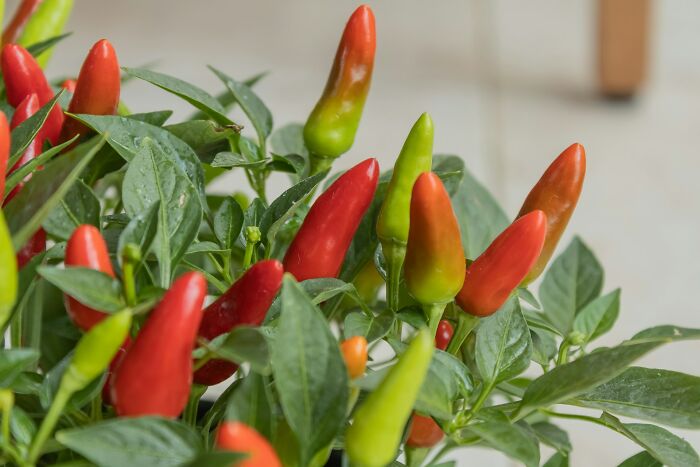 The 40 'I’m Done!' Moments That Made People Bounce Like Nobody’s Business