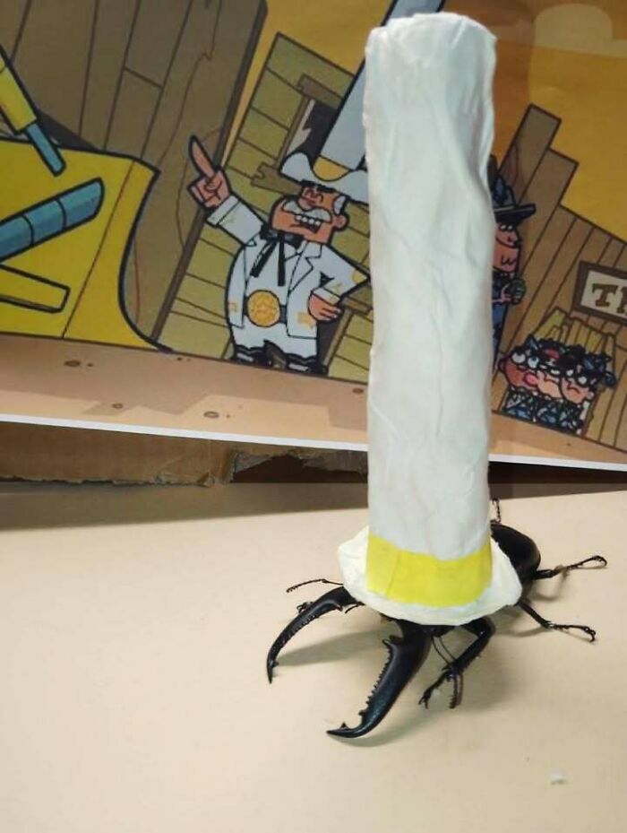 Animals Who Walk Into The Room Like They Own It (And It's Hilarious)