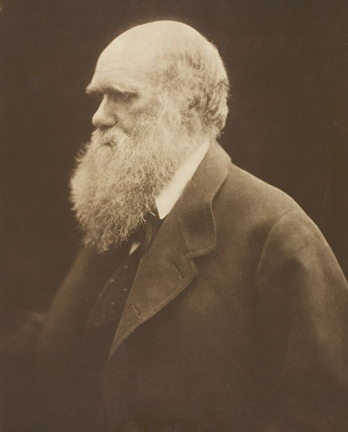 Charles Darwin’s Deep Thinker Pose, 1868