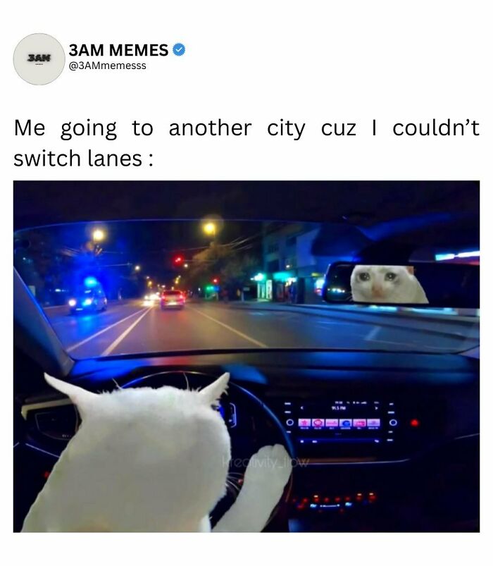 Wait, They Actually Ranked These 49 Hilarious 3AM Memes That Nail Those Late-Night Brain Blips?