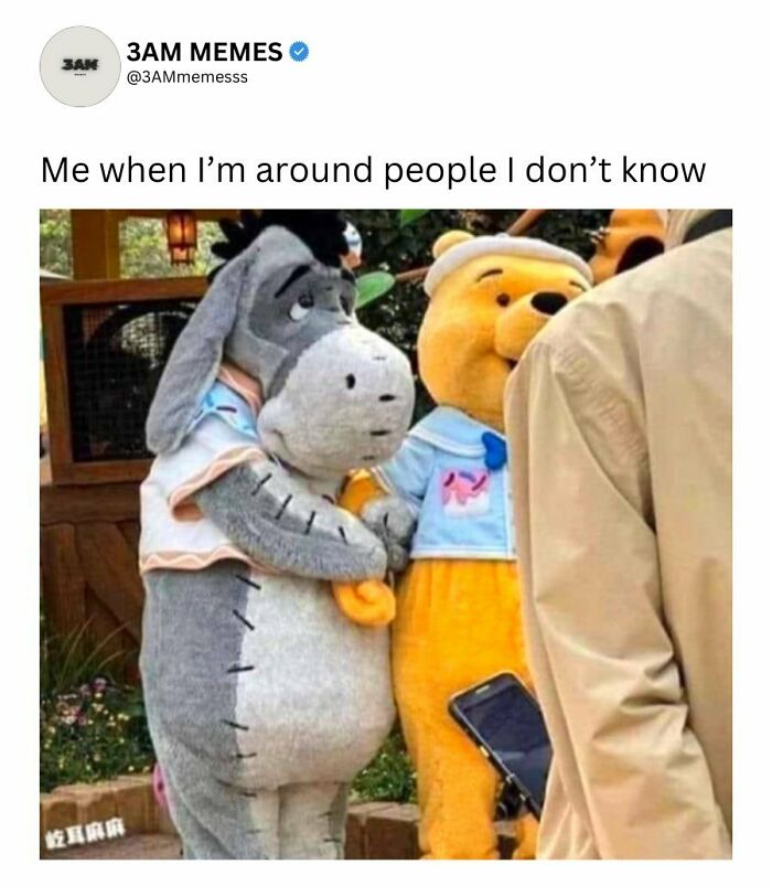 Wait, They Actually Ranked These 49 Hilarious 3AM Memes That Nail Those Late-Night Brain Blips?