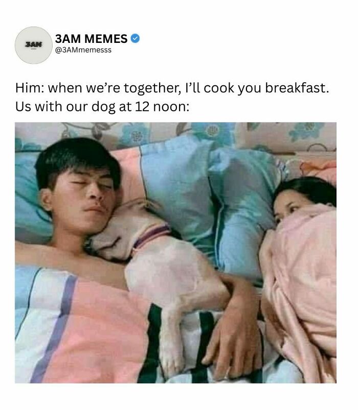 Wait, They Actually Ranked These 49 Hilarious 3AM Memes That Nail Those Late-Night Brain Blips?