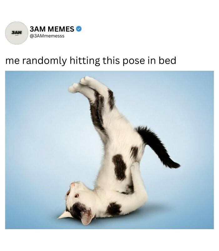 Wait, They Actually Ranked These 49 Hilarious 3AM Memes That Nail Those Late-Night Brain Blips?