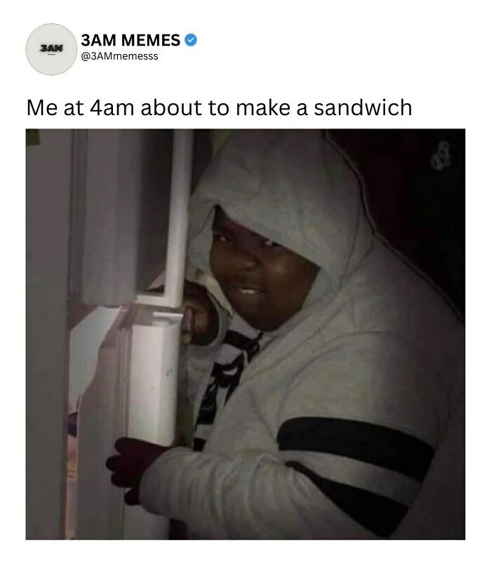 Wait, They Actually Ranked These 49 Hilarious 3AM Memes That Nail Those Late-Night Brain Blips?