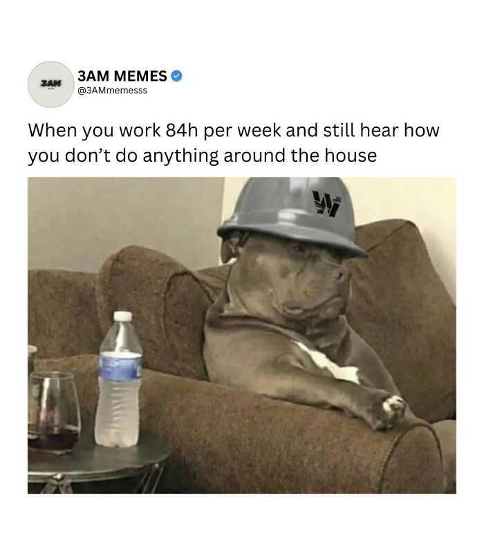 Wait, They Actually Ranked These 49 Hilarious 3AM Memes That Nail Those Late-Night Brain Blips?