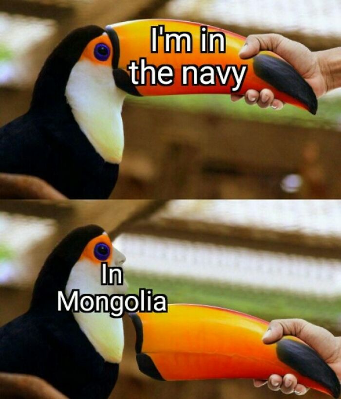 Mongolian Navy, Surely?