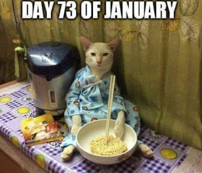 Cats With Serious Swag: 65 Pics That’ll Totally Make Your Day