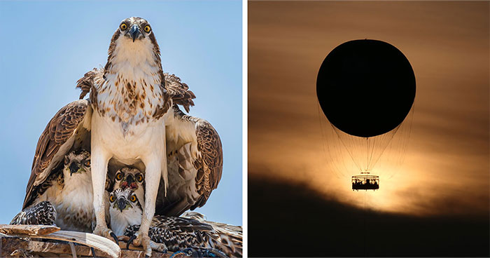 These 60 Non-Pro Photographers Absolutely Nailed It!