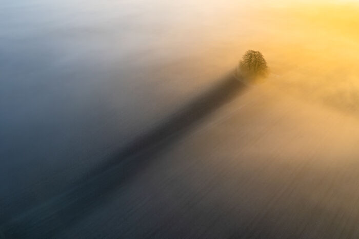 “A Long Shadow” By Christopher Harrison