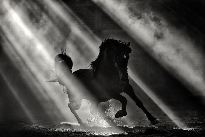 “Horsepower” By Diane Bliessen