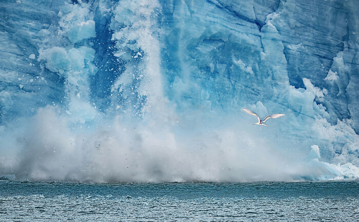 “Spegazzini Glacier” By Giovanni Sonsini